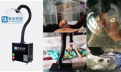 網(wǎng)絡(luò)科技領(lǐng)域內(nèi)的技術(shù)開發(fā) 創(chuàng)新引擎與未來趨勢(shì)